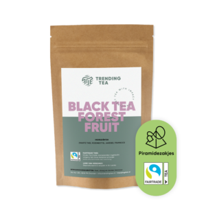 Fairtrade Forest Fruit 100 piramidezakjes