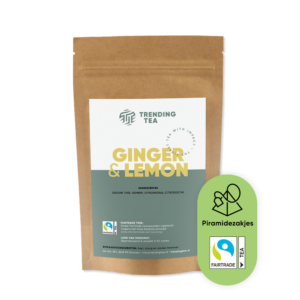 Fairtrade Green Tea Ginger Lemon 100 piramidezakjes