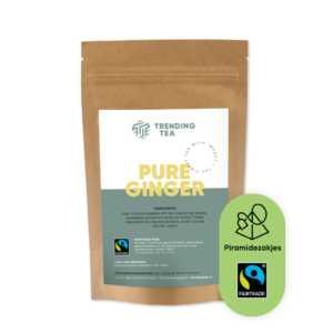 Fairtrade Pure Ginger 100 piramidezakjes